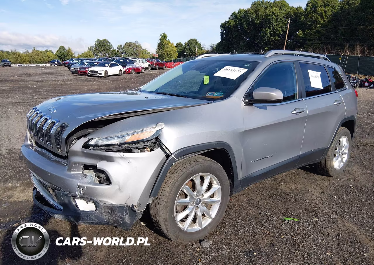 2014 Jeep Cherokee Limited VIN:1C4PJMDS3EW254871 - 2