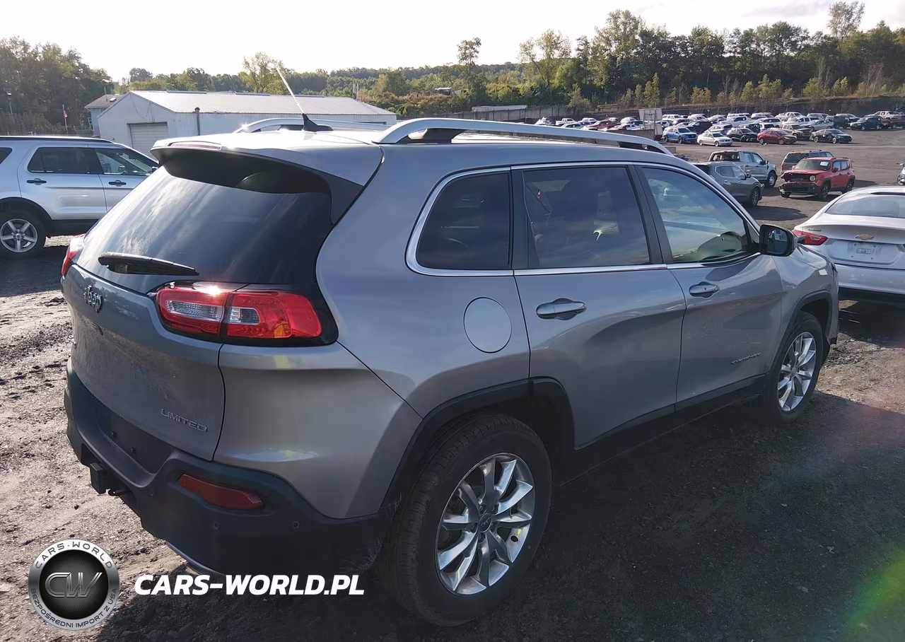 2014 Jeep Cherokee Limited VIN:1C4PJMDS3EW254871 - 4