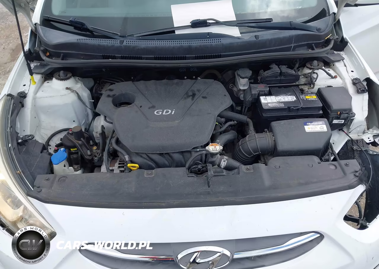 2016 Hyundai Accent Se VIN:KMHCT4AE9GU063912 - 10