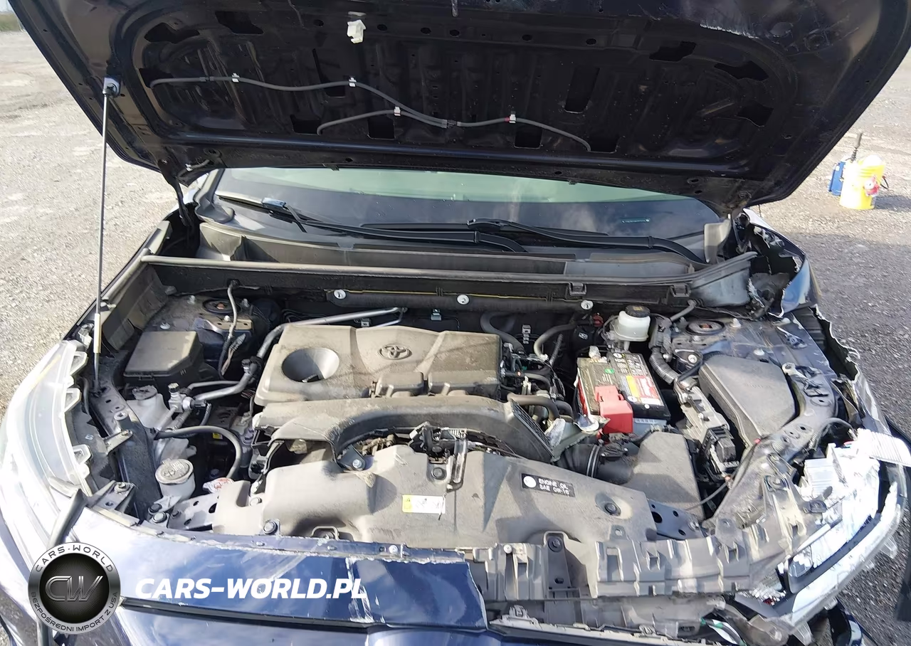 2019 Toyota Rav4 Xle Premium VIN:JTMA1RFVXKD003024 - 10