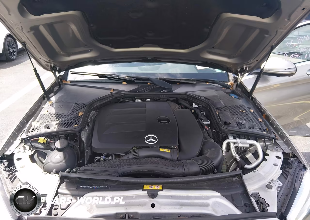 2019 Mercedes-Benz C 300 VIN:55SWF8DB8KU317255 - 10