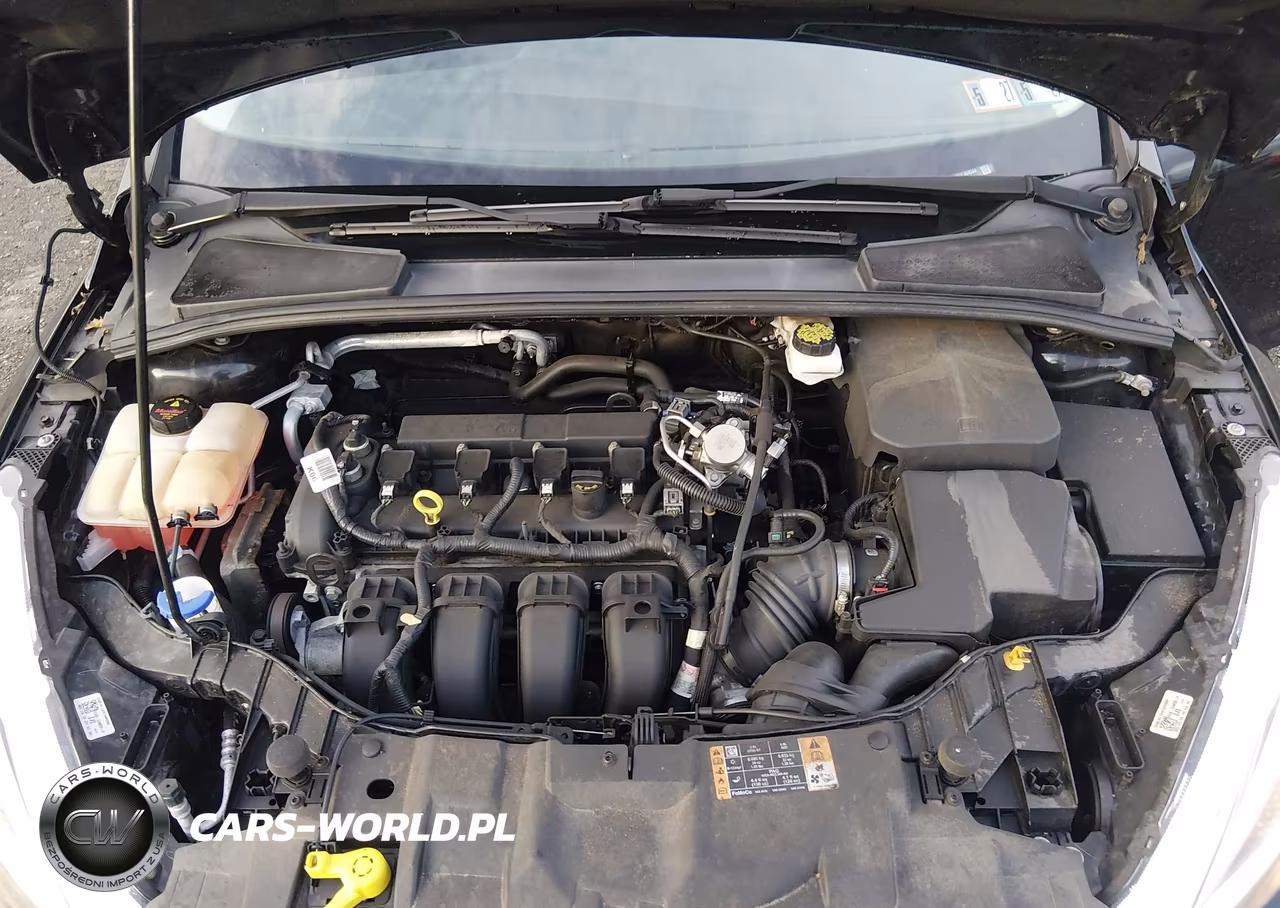 2018 Ford Focus Se VIN:1FADP3F22JL264544 - 10