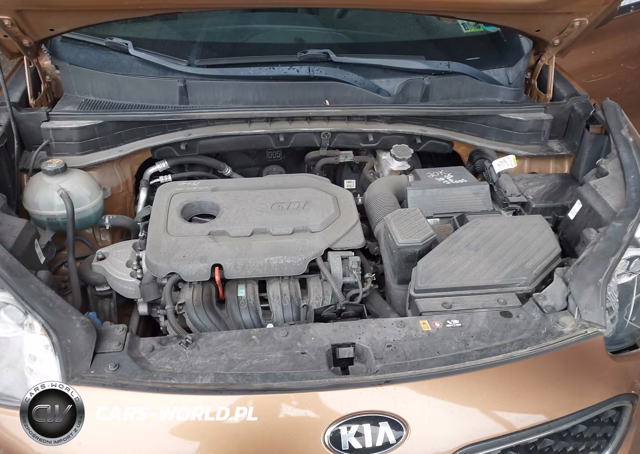 2019 Kia Sportage Lx VIN:KNDPM3AC8K7616522 - 10