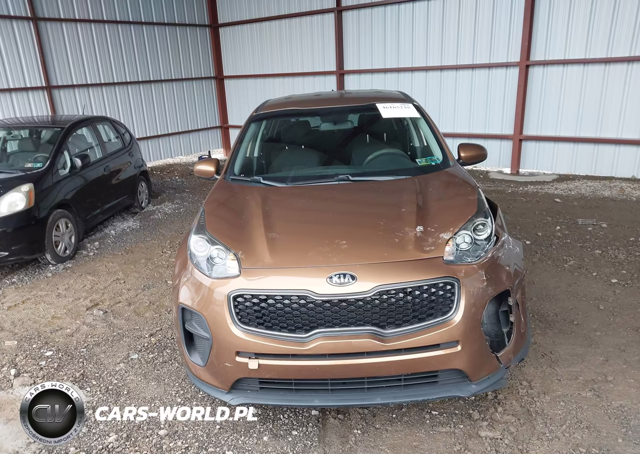 2019 Kia Sportage Lx VIN:KNDPM3AC8K7616522 - 12