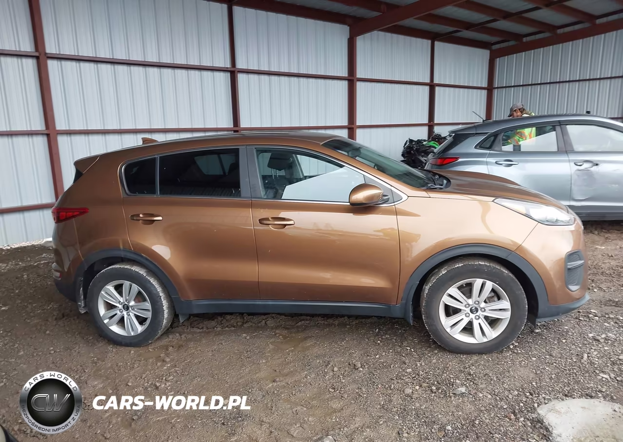 2019 Kia Sportage Lx VIN:KNDPM3AC8K7616522 - 13