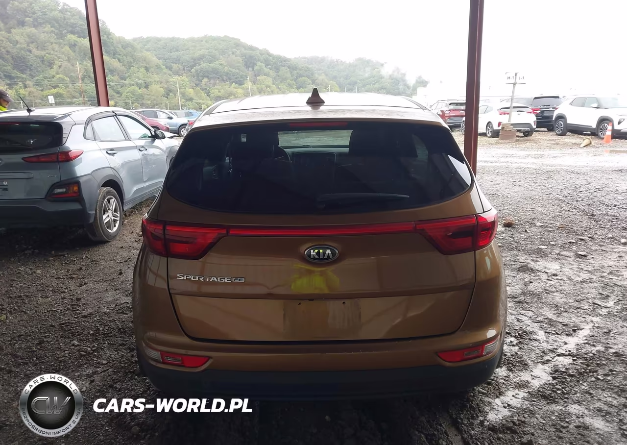 2019 Kia Sportage Lx VIN:KNDPM3AC8K7616522 - 16