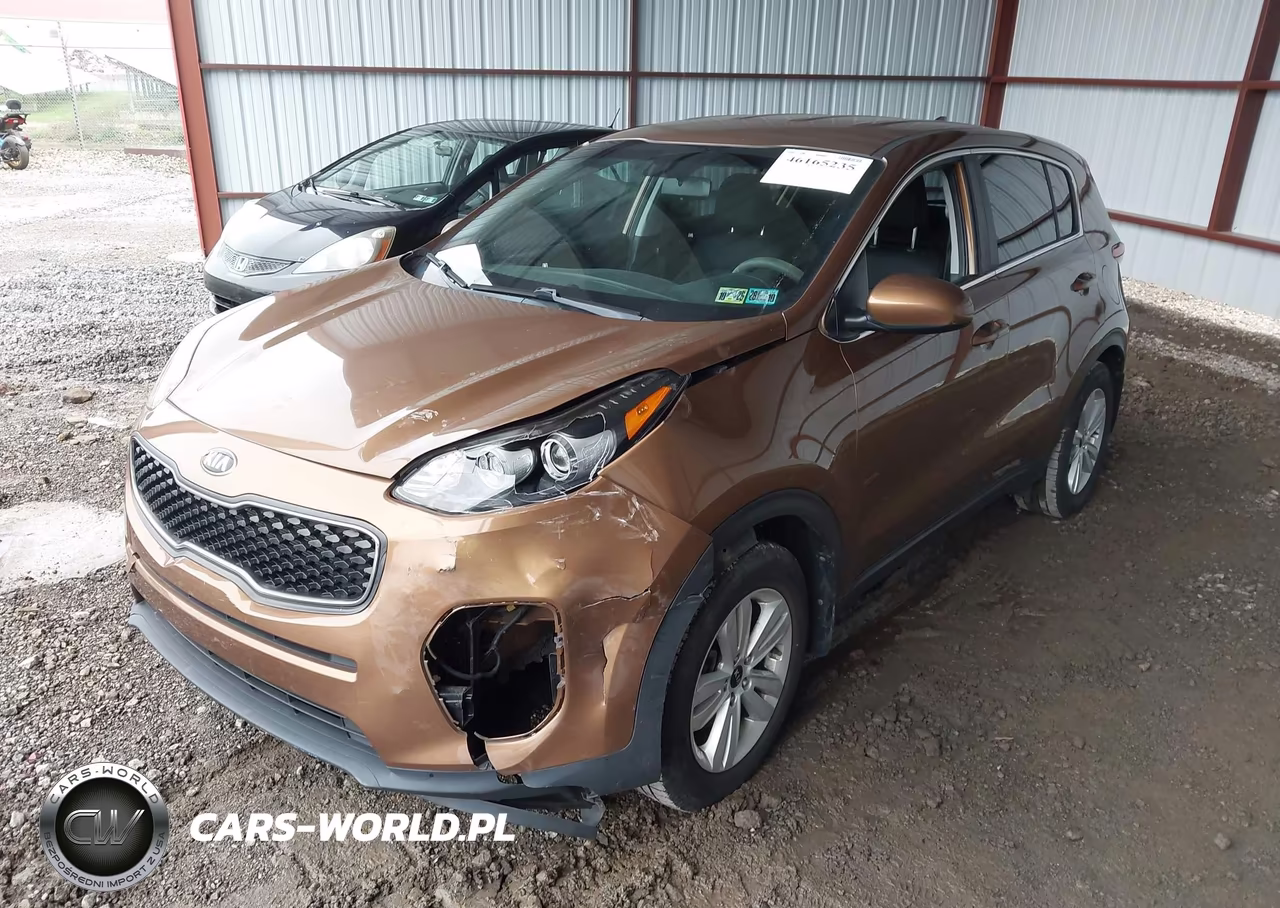 2019 Kia Sportage Lx VIN:KNDPM3AC8K7616522 - 2