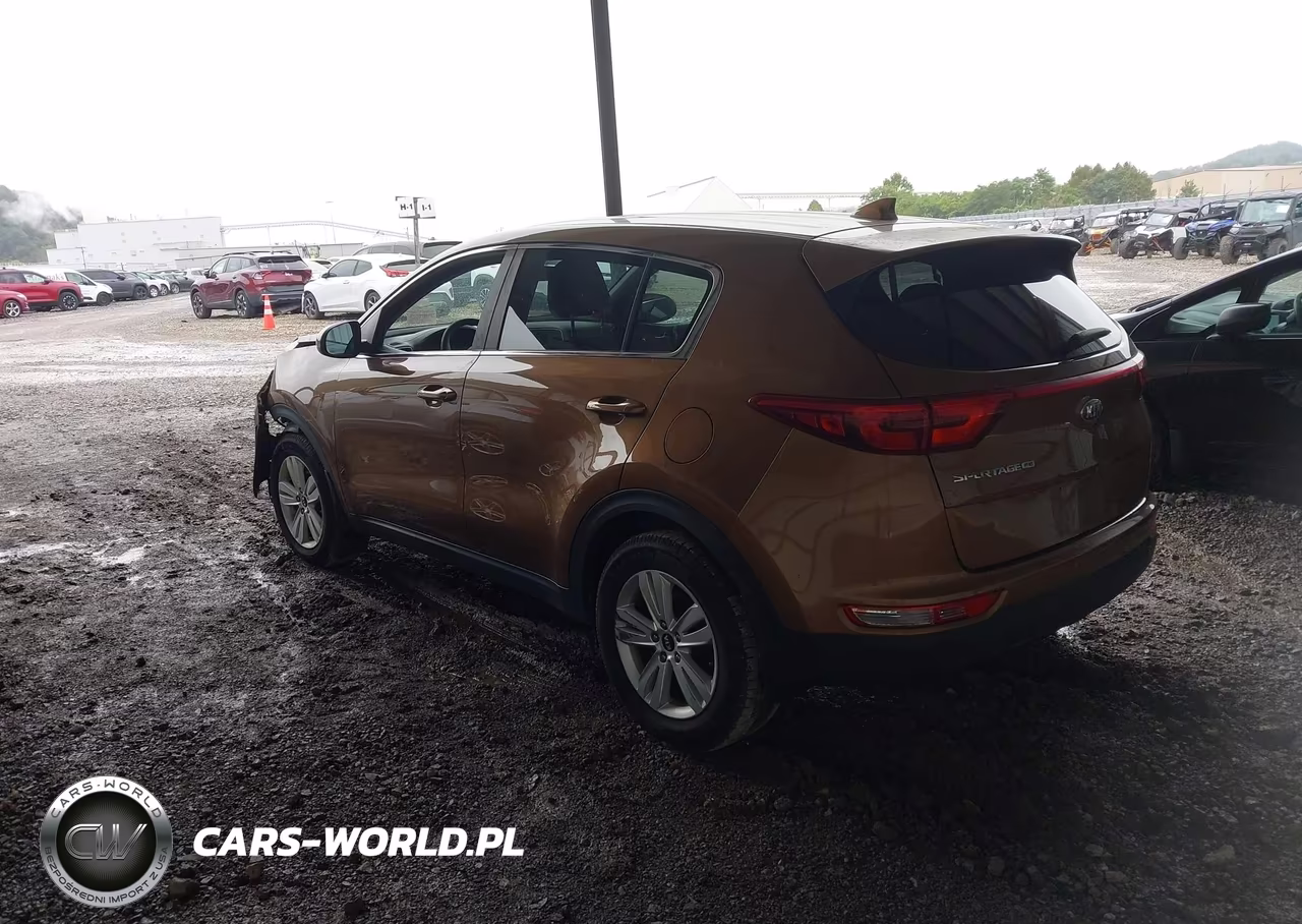 2019 Kia Sportage Lx VIN:KNDPM3AC8K7616522 - 3