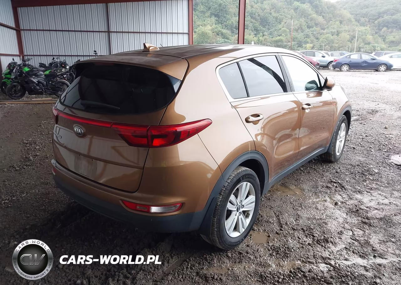 2019 Kia Sportage Lx VIN:KNDPM3AC8K7616522 - 4