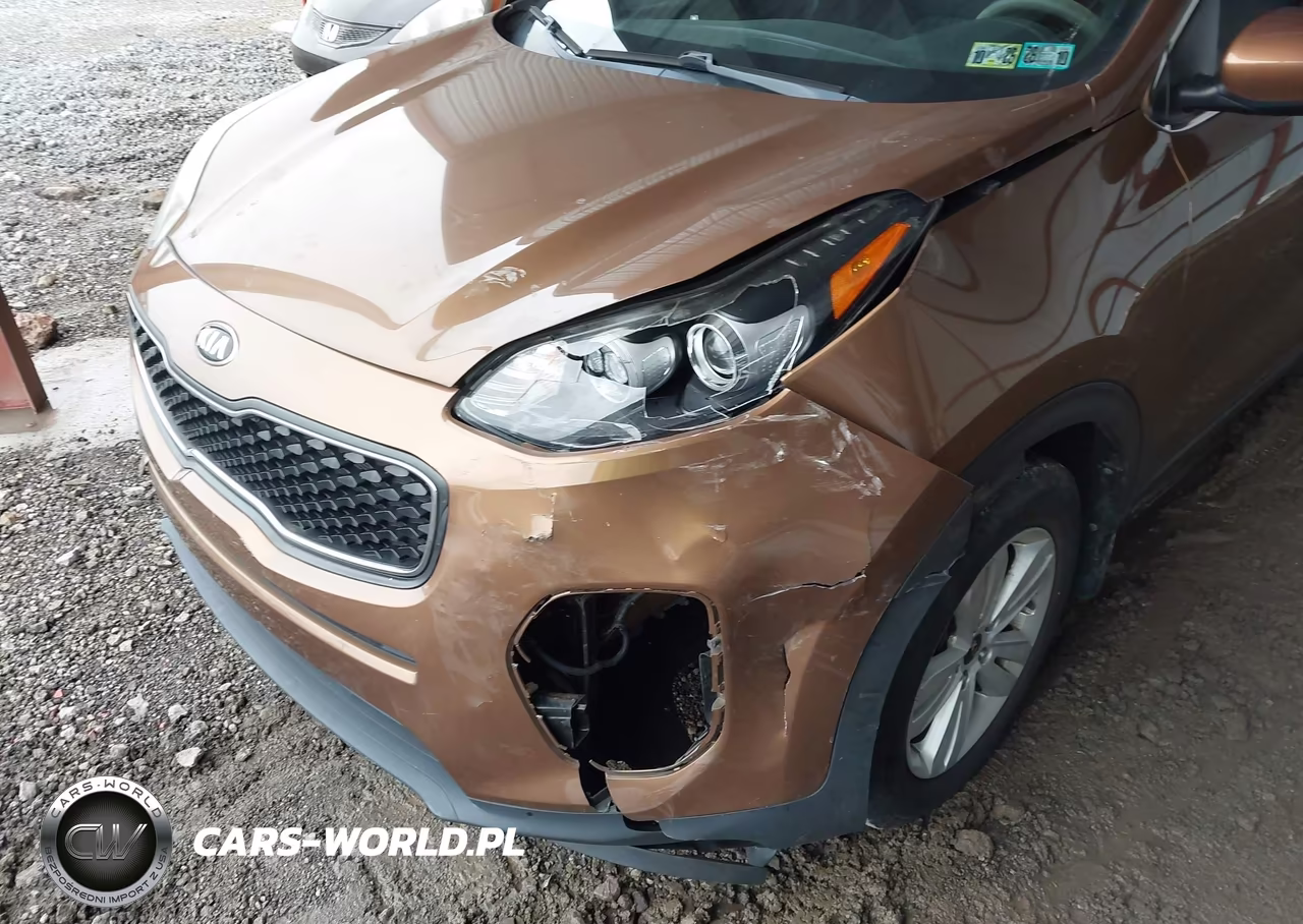 2019 Kia Sportage Lx VIN:KNDPM3AC8K7616522 - 6