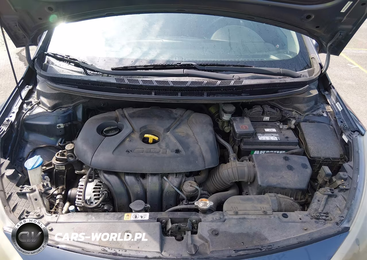2015 Kia Forte Ex VIN:KNAFX4A81F5273863 - 10