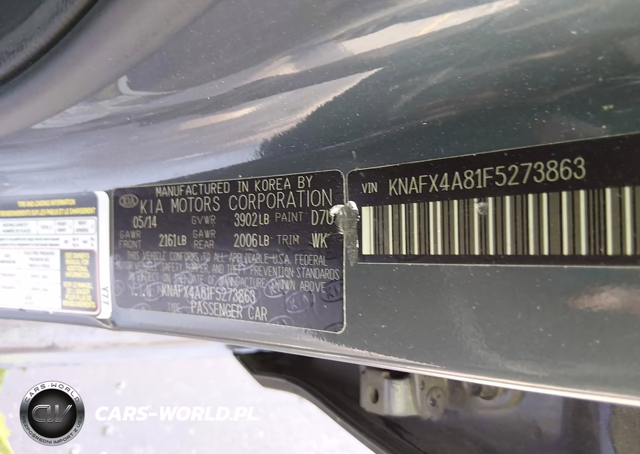 2015 Kia Forte Ex VIN:KNAFX4A81F5273863 - 9