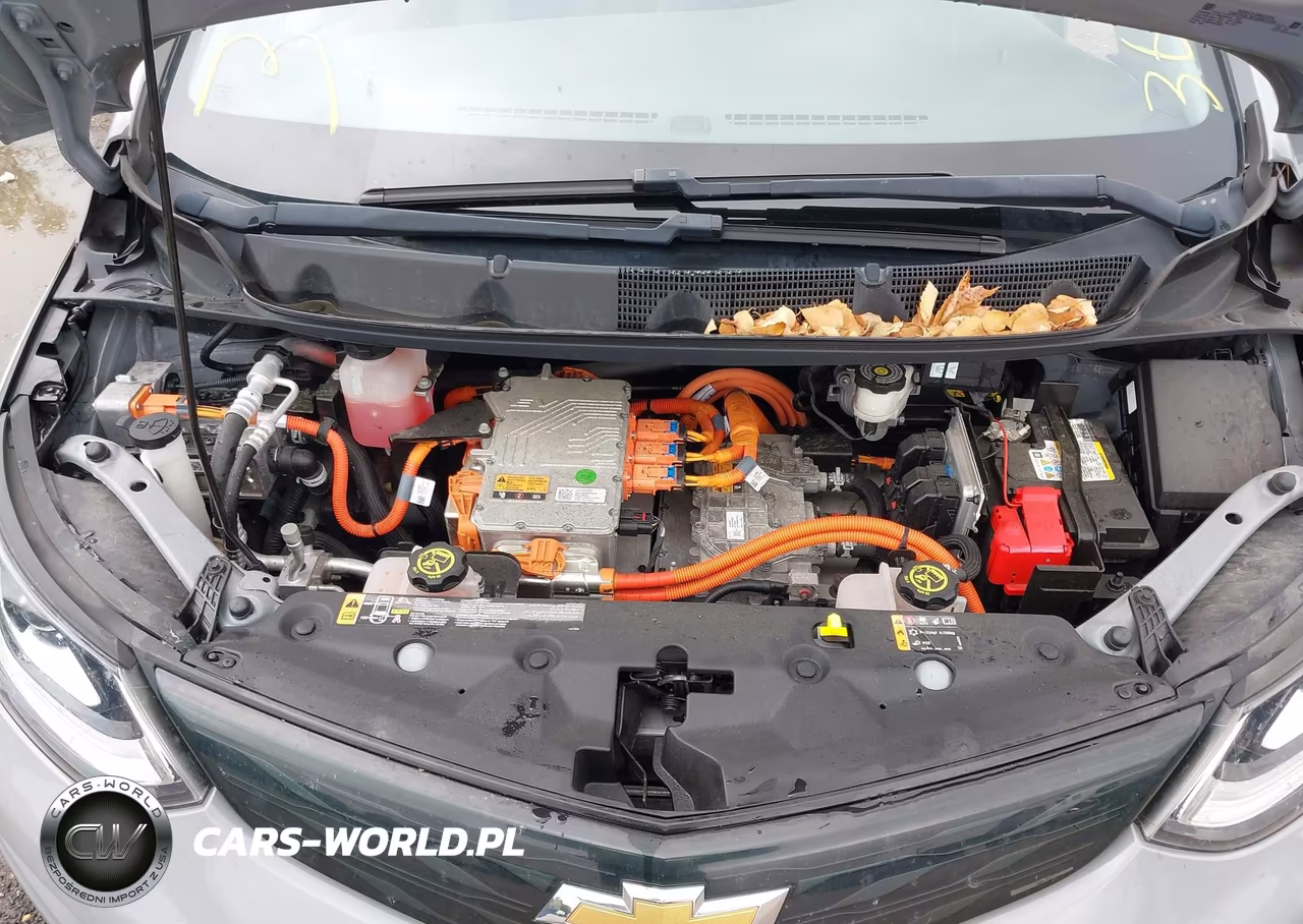 2019 Chevrolet Bolt Ev Lt VIN:1G1FY6S04K4103266 - 10