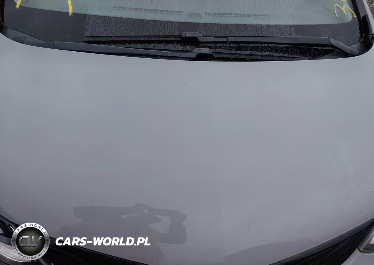 2019 Chevrolet Bolt Ev Lt VIN:1G1FY6S04K4103266 - 18