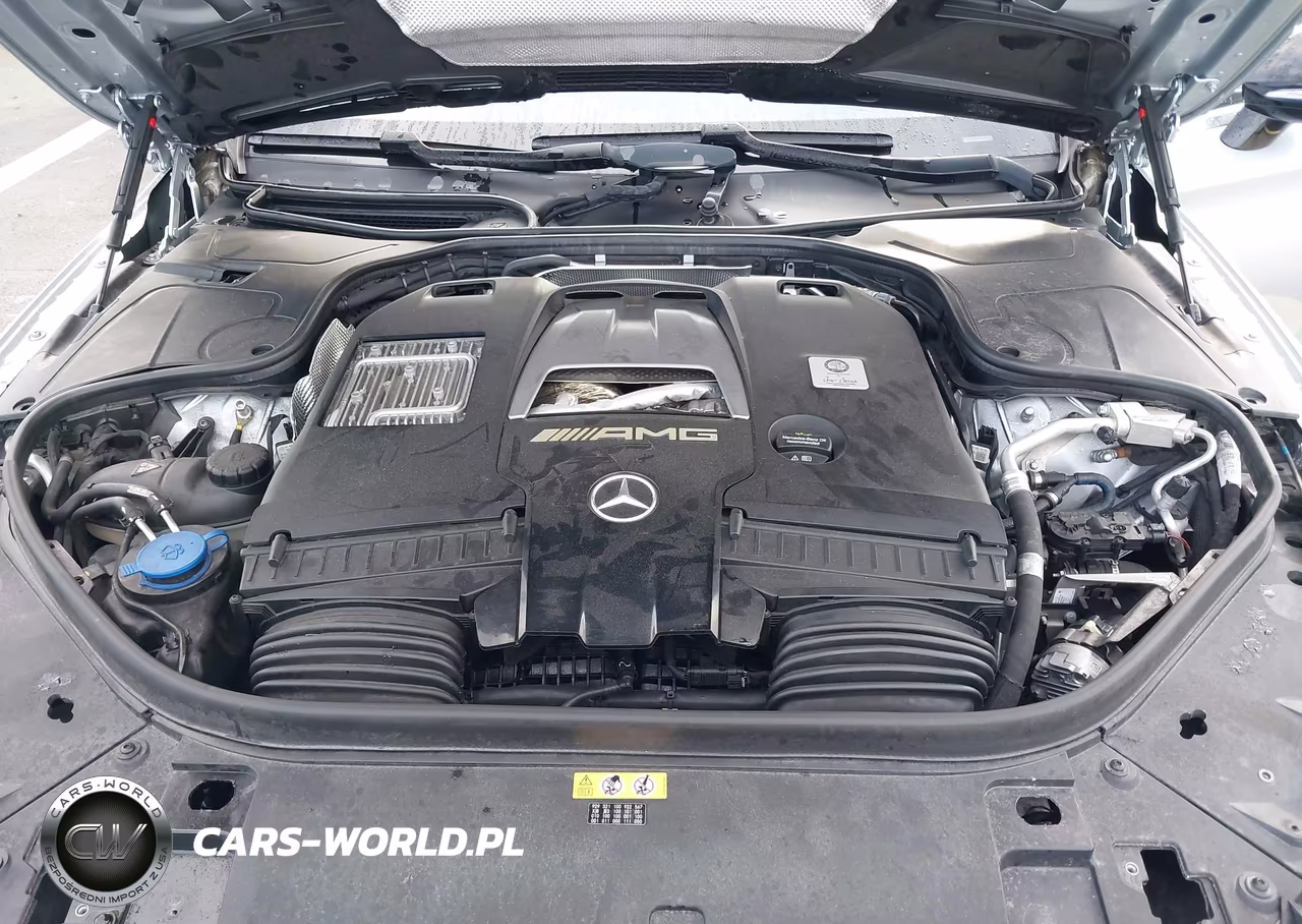 2021 Mercedes-Benz Amg S 63 4Matic VIN:W1KXJ8JB3MA050911 - 10