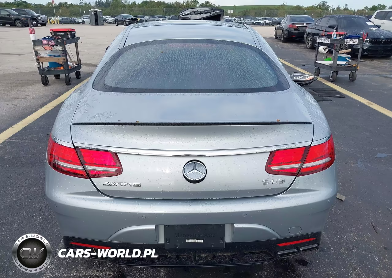 2021 Mercedes-Benz Amg S 63 4Matic VIN:W1KXJ8JB3MA050911 - 17