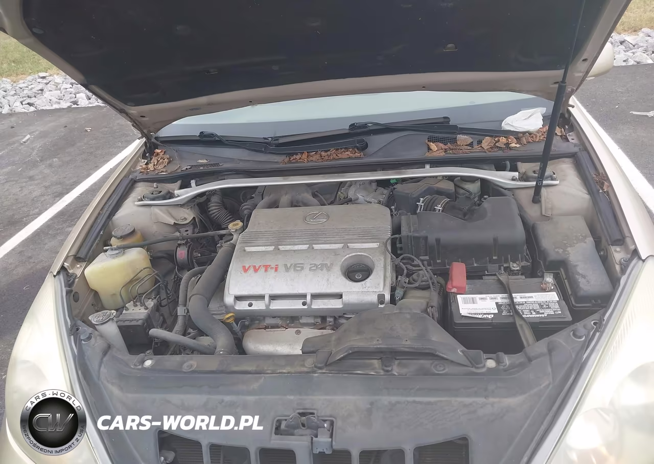 2003 Lexus Es 300 VIN:JTHBF30G436015459 - 10