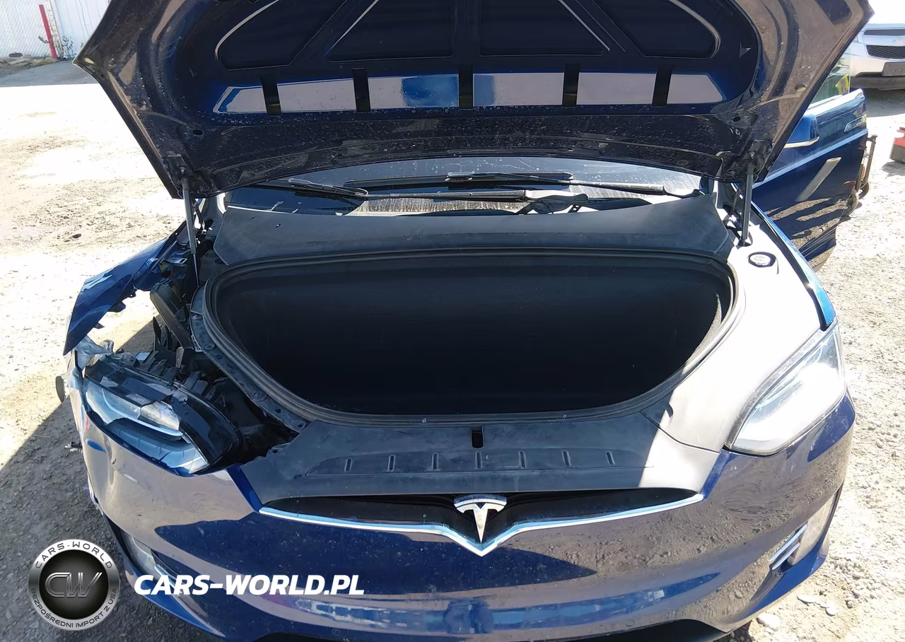 2020 Tesla Model X Performance Dual Motor All-Wheel Drive VIN:5YJXCDE49LF240937 - 10