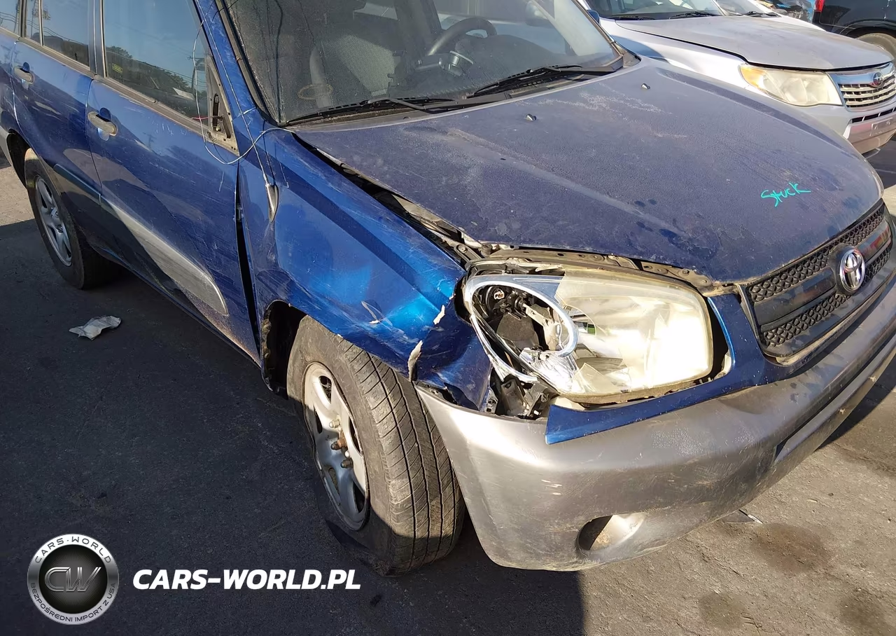 2004 Toyota Rav4 VIN:JTEGD20V440018187 - 6