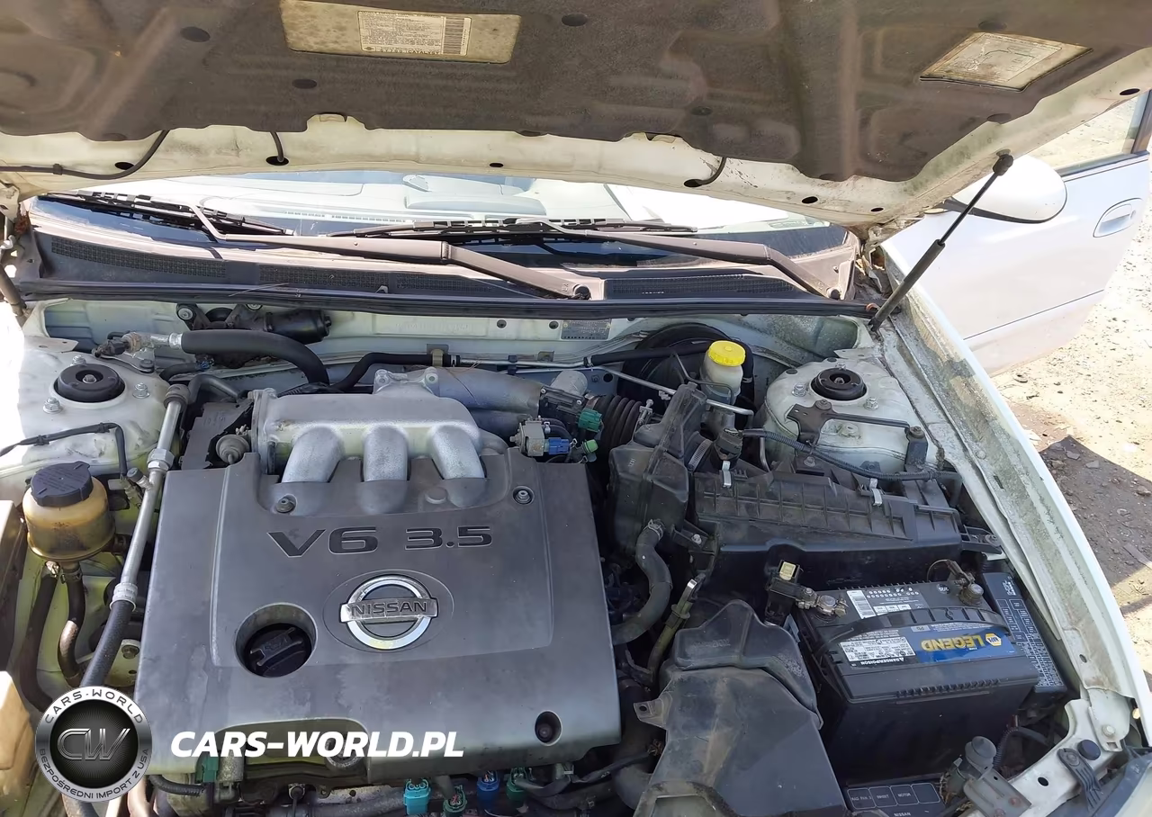 2002 Nissan Maxima Se VIN:JN1DA31D12T434613 - 10