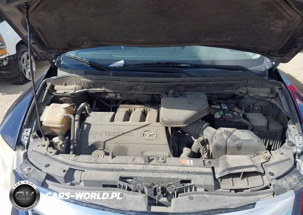 2010 Mazda Cx-9 Touring VIN:JM3TB3MV1A0221341 - 10