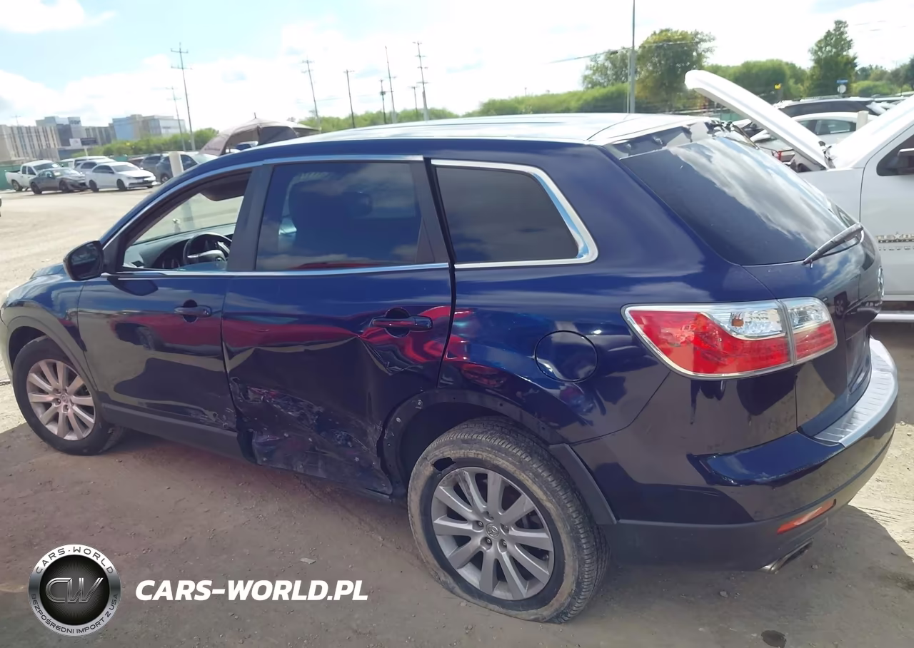 2010 Mazda Cx-9 Touring VIN:JM3TB3MV1A0221341 - 13