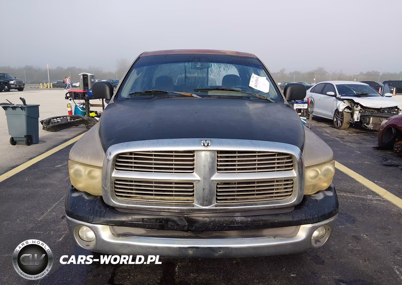 2002 Dodge Ram 1500 St VIN:1D7HA18NX2S704919 - 12