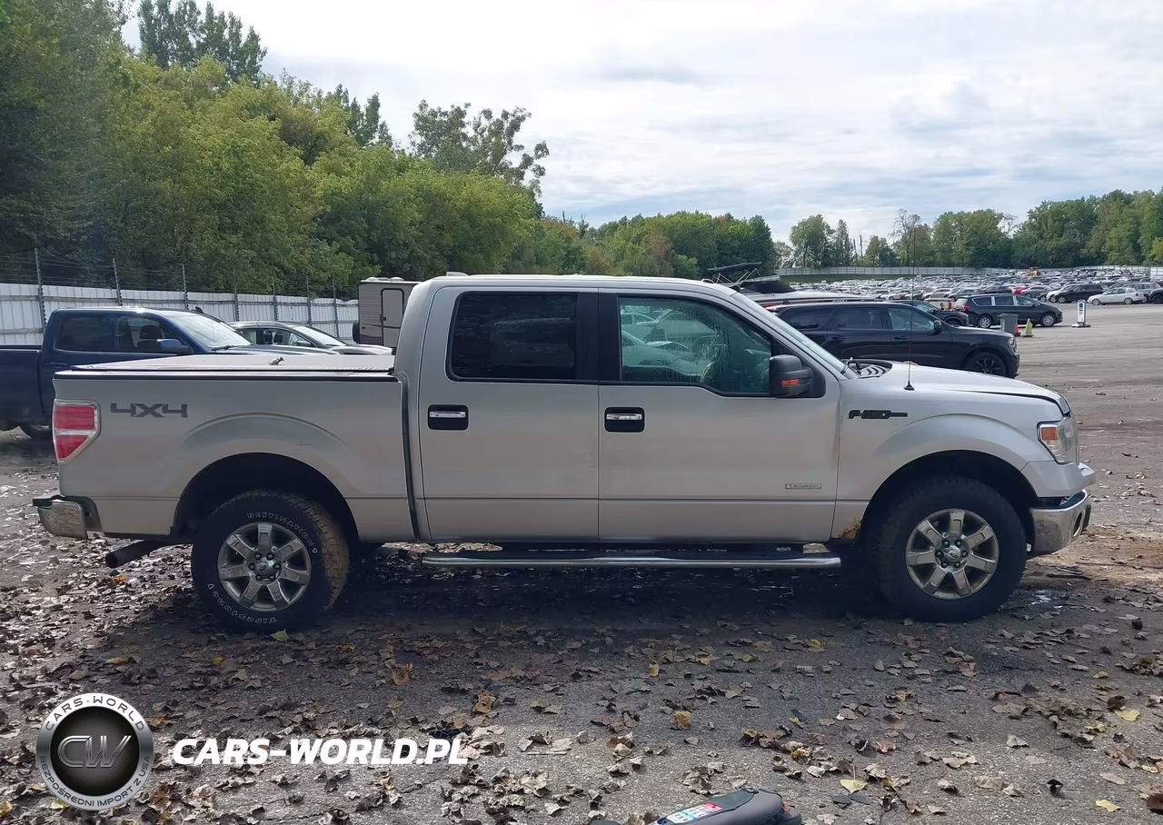 2014 Ford F-150 Xlt VIN:1FTFW1ET8EFC91711 - 13