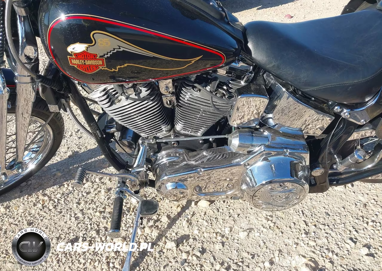 1988 Springer Soft Tail VIN:1HD1BLL32JY024047 - 10