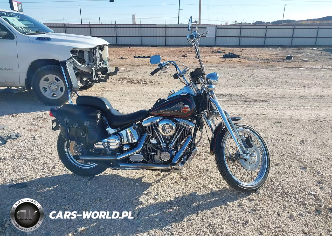 1988 Springer Soft Tail VIN:1HD1BLL32JY024047 - 13
