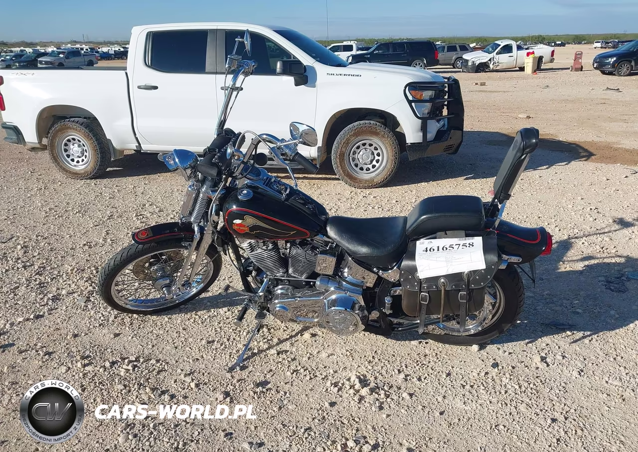 1988 Springer Soft Tail VIN:1HD1BLL32JY024047 - 14