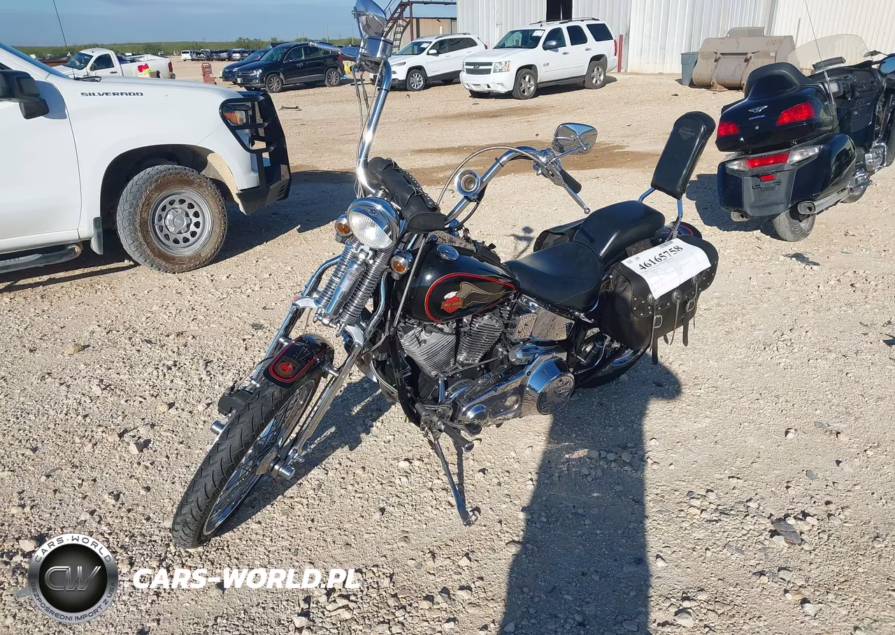 1988 Springer Soft Tail VIN:1HD1BLL32JY024047 - 2