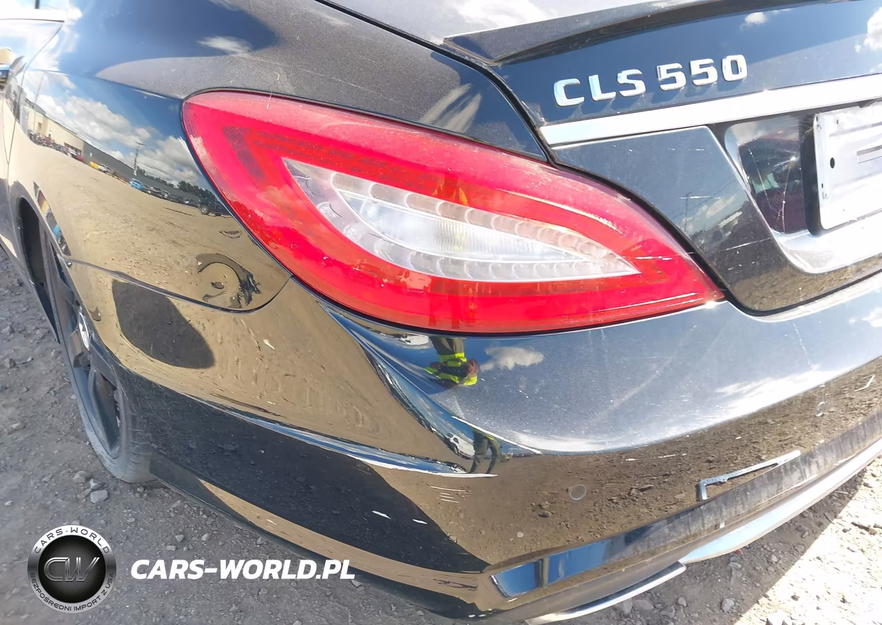 2013 Mercedes-Benz Cls 550 4Matic VIN:WDDLJ9BB6DA088166 - 19