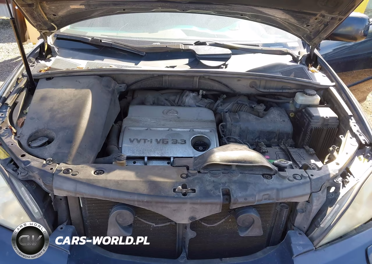 2004 Lexus Rx 330 VIN:JTJHA31U240046631 - 10