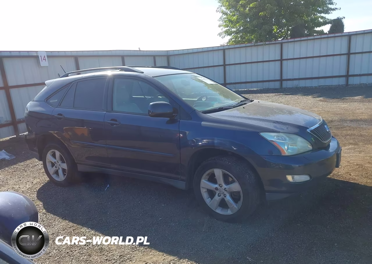 2004 Lexus Rx 330 VIN:JTJHA31U240046631 - 12