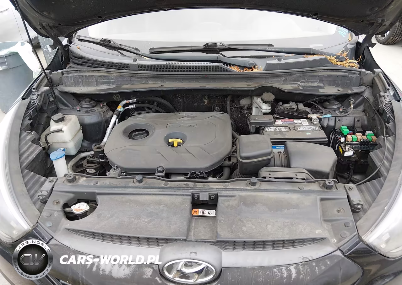 2015 Hyundai Tucson Gls VIN:KM8JT3AF3FU075286 - 10