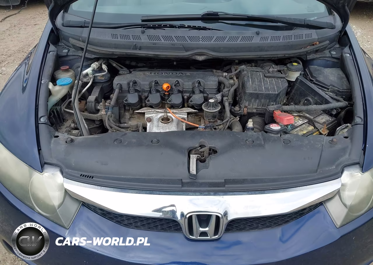 2011 Honda Civic Lx VIN:19XFA1F55BE010159 - 10