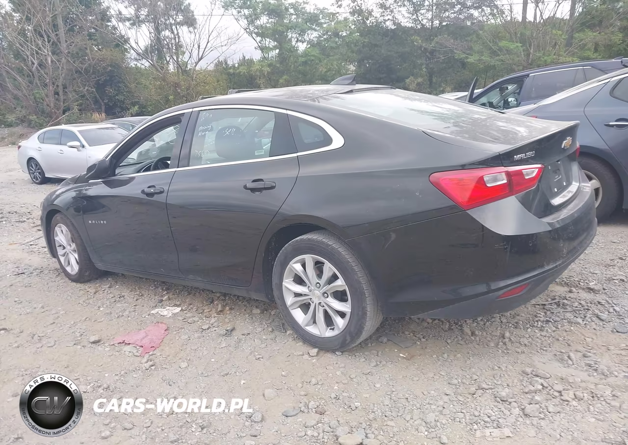 2024 Chevrolet Malibu Fwd 1Lt VIN:1G1ZD5ST7RF168155 - 14