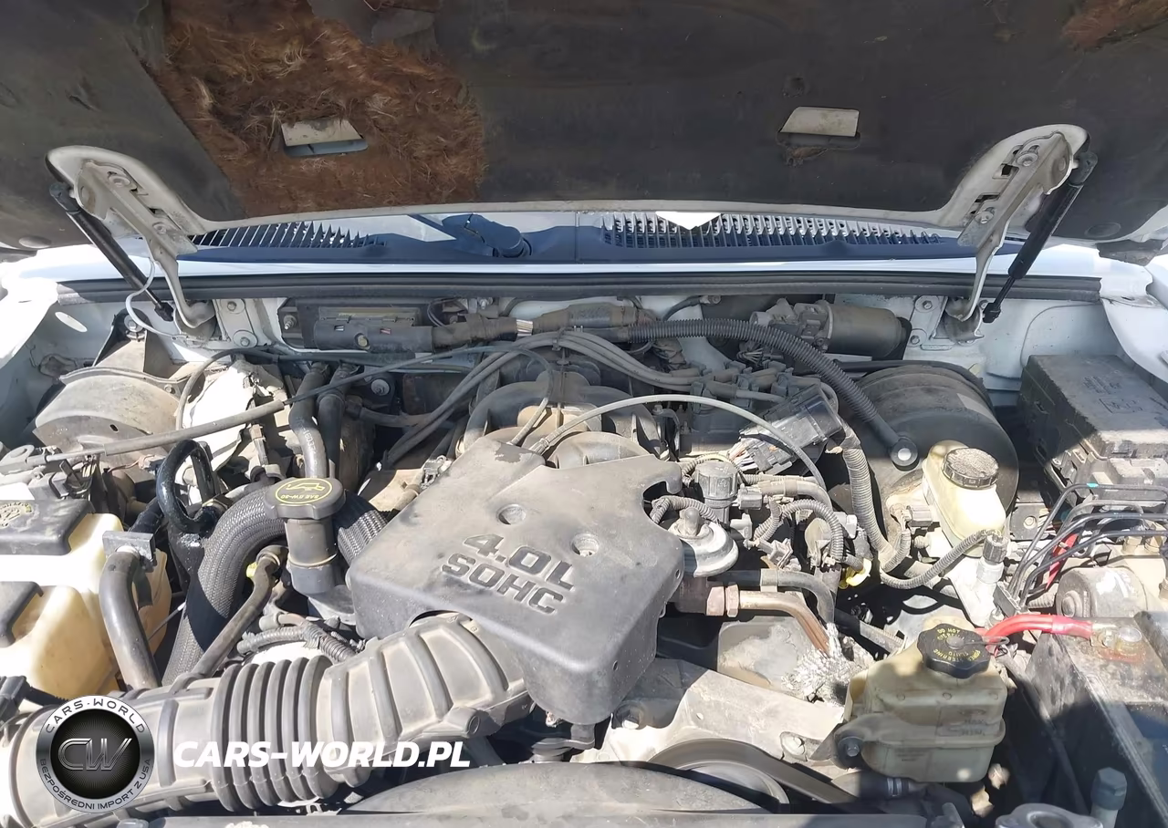 2003 Ford Explorer Sport Trac Xls-Xlt VIN:1FMZU67E33UB48829 - 10