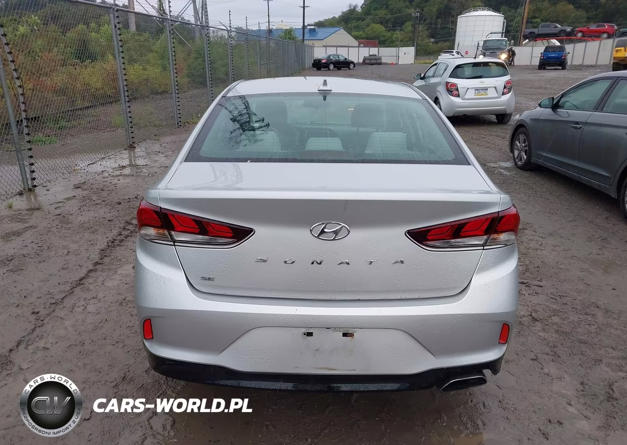 2019 Hyundai Sonata Se VIN:5NPE24AF9KH738363 - 17