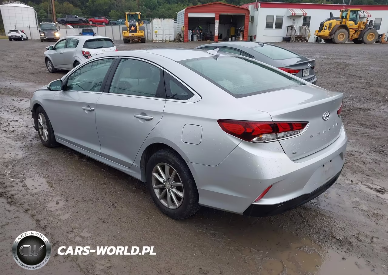 2019 Hyundai Sonata Se VIN:5NPE24AF9KH738363 - 3