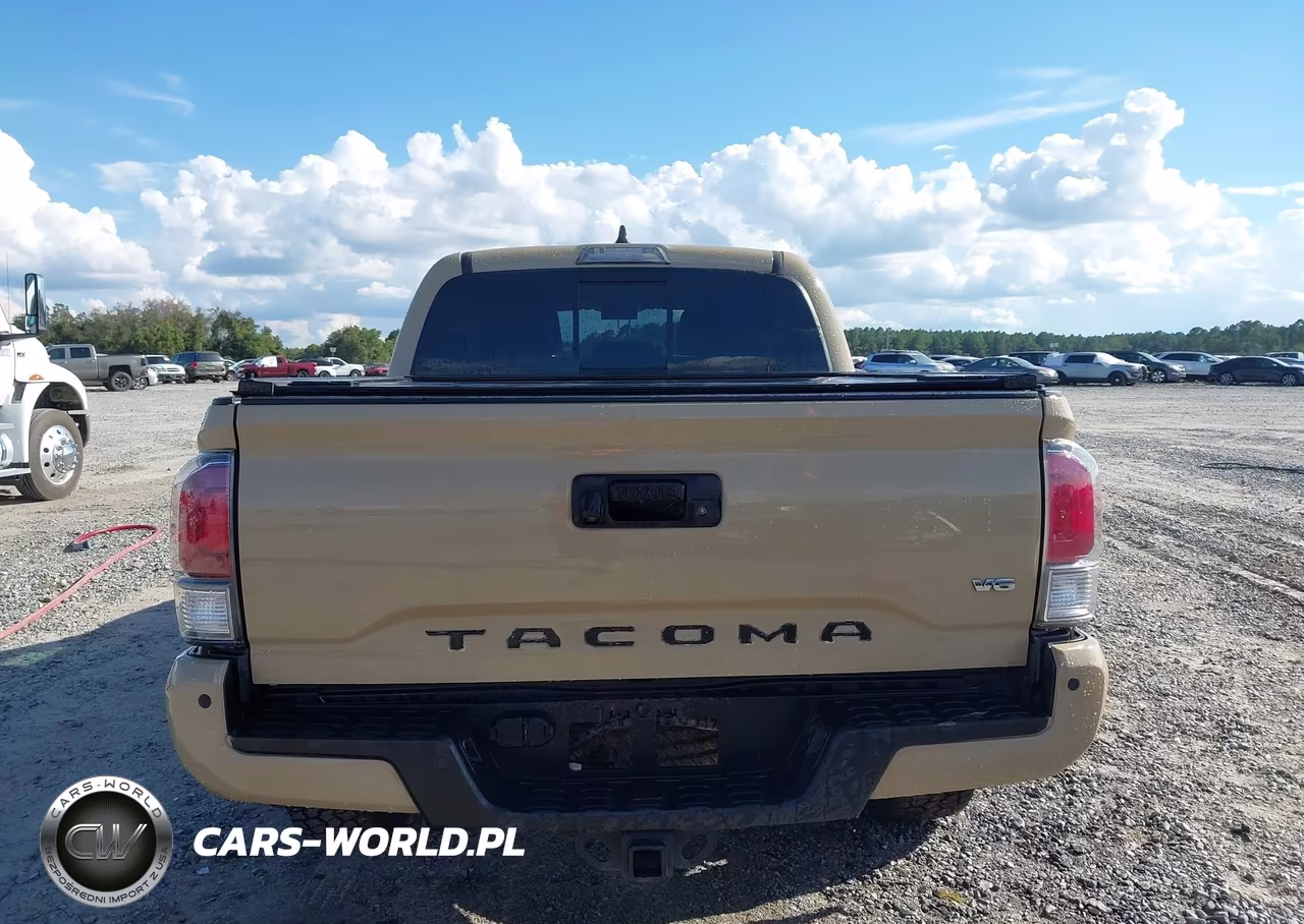 2020 Toyota Tacoma Trd Sport VIN:5TFCZ5AN9LX224180 - 16