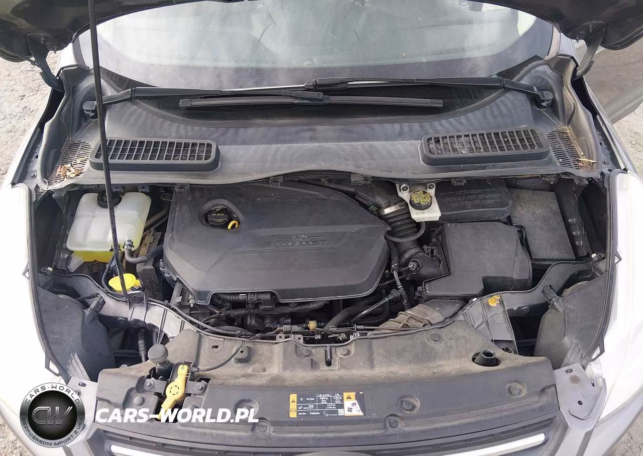 2014 Ford Escape Se VIN:1FMCU0GX9EUD14164 - 10