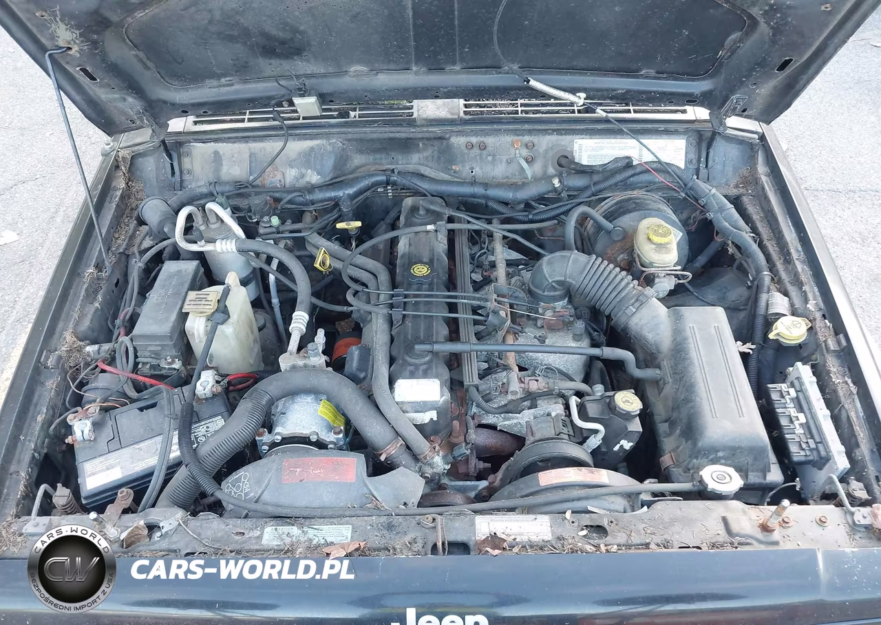 2001 Jeep Cherokee Sport VIN:1J4FF48S21L554592 - 10