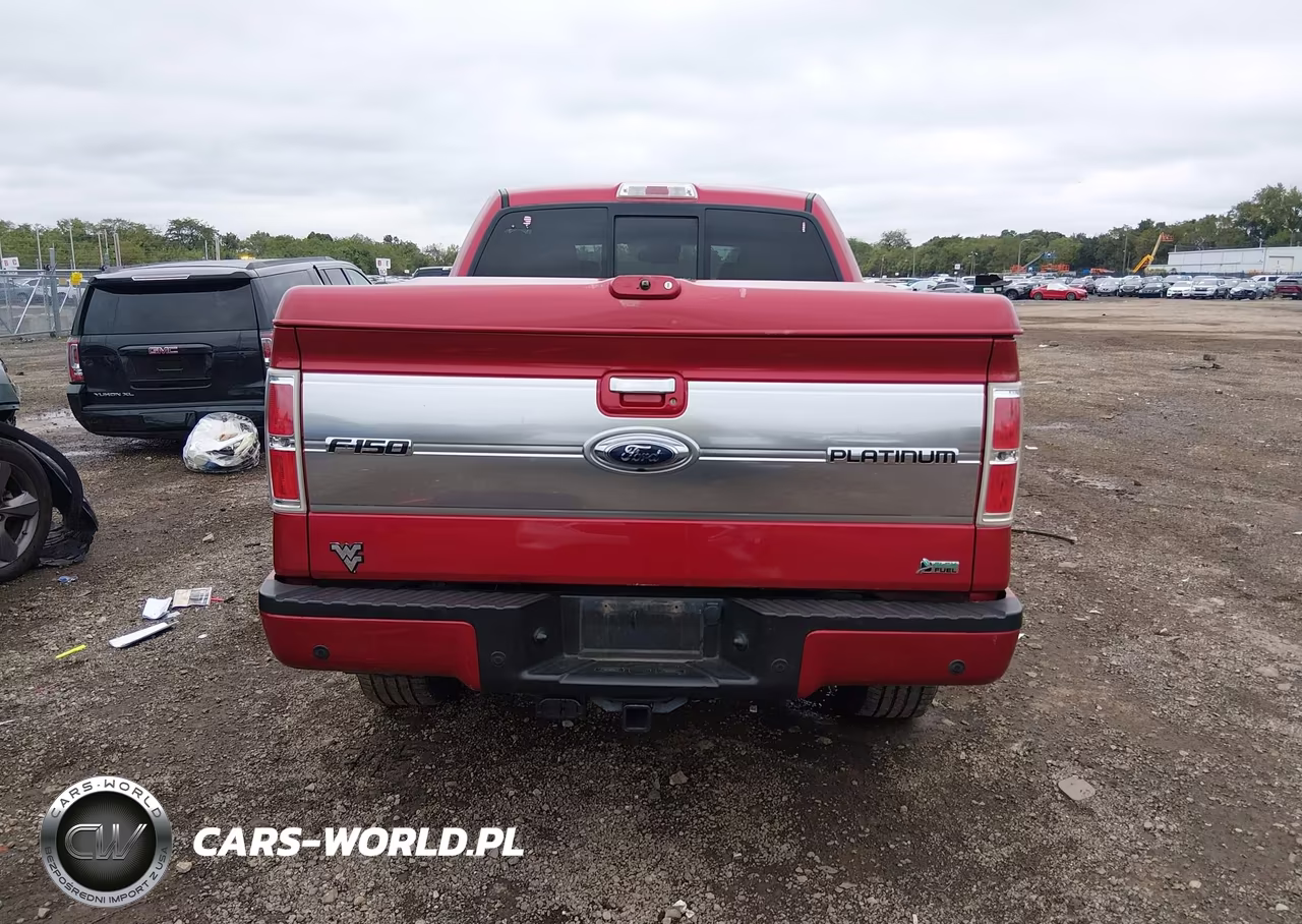 2010 Ford F-150 Fx4-Harley-Davidson-King Ranch-Lariat-Platinum-Xl-Xlt VIN:1FTFW1EV9AFB59522 - 16