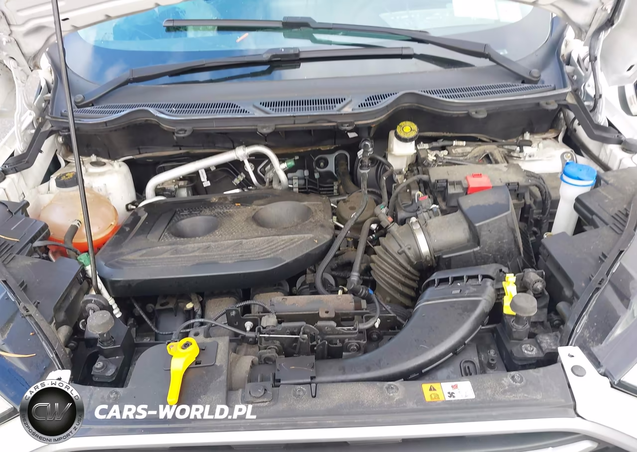 2020 Ford Ecosport Se VIN:MAJ6S3GLXLC386585 - 10