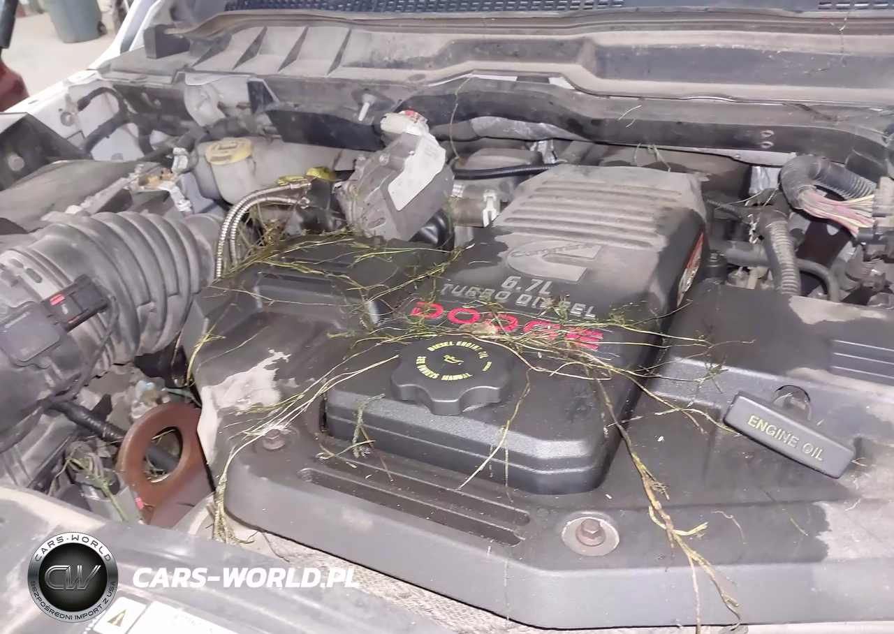 2010 Dodge Ram 2500 Slt VIN:3D7UT2CL5AG157276 - 6