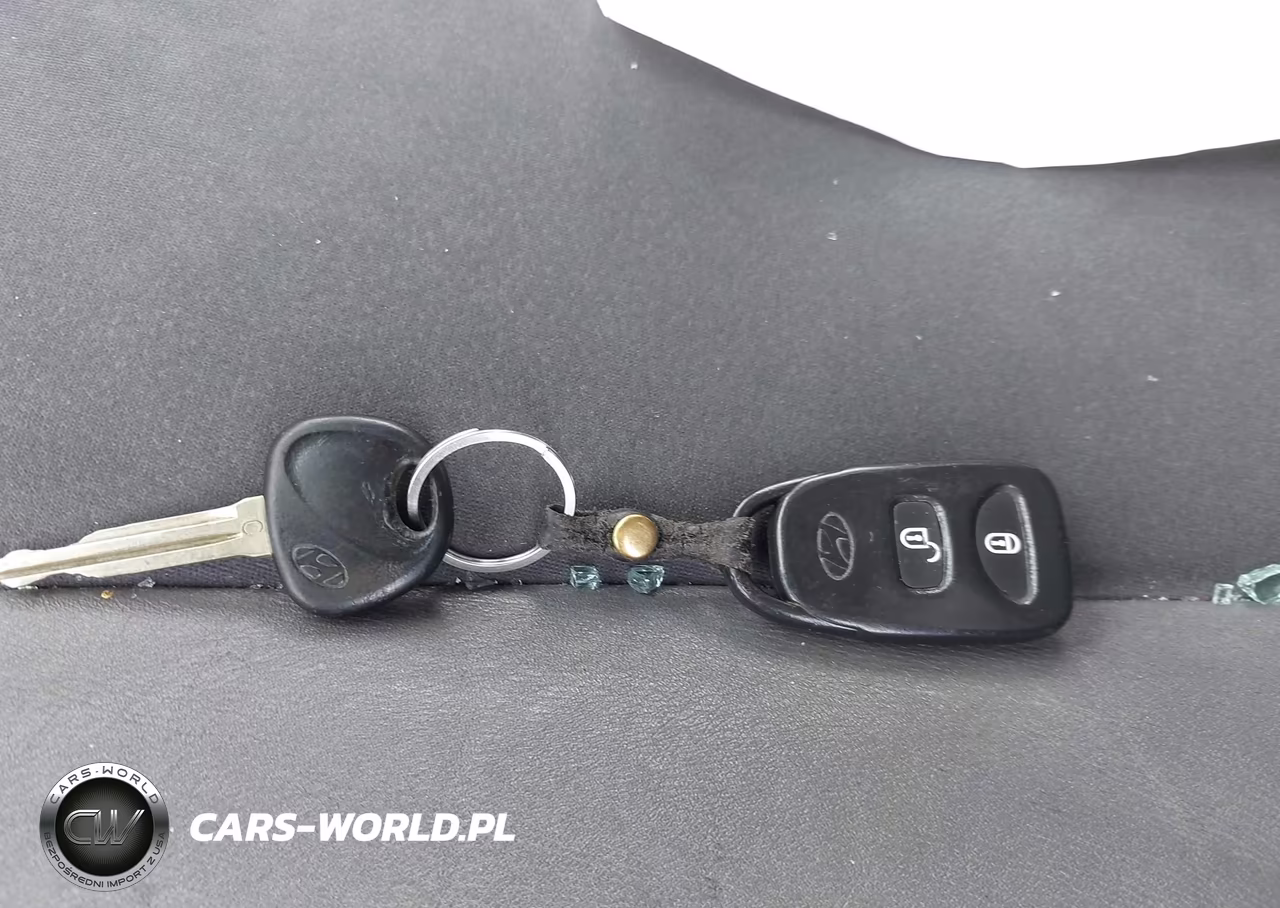 2010 Hyundai Santa Fe Se VIN:5NMSHDAG5AH359057 - 11