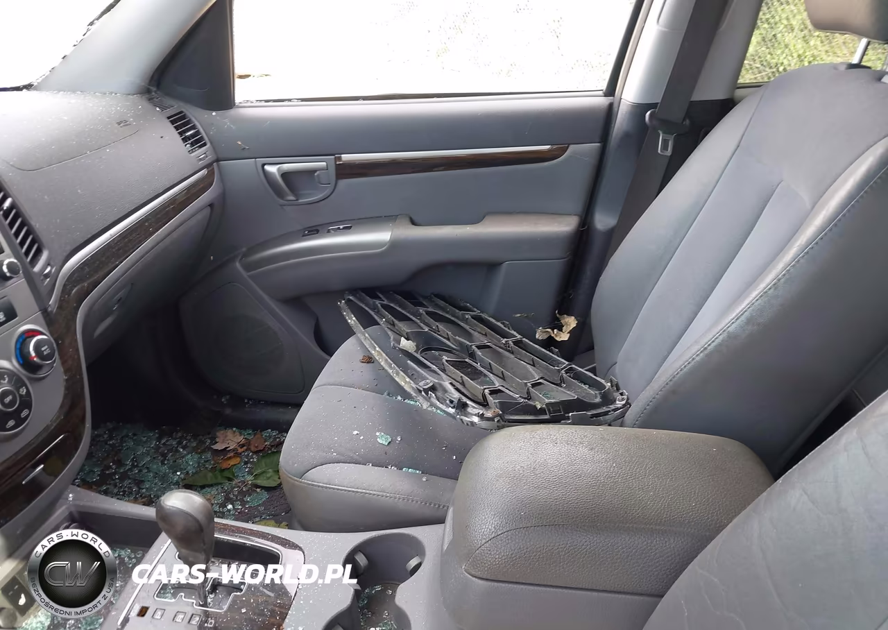 2010 Hyundai Santa Fe Se VIN:5NMSHDAG5AH359057 - 12