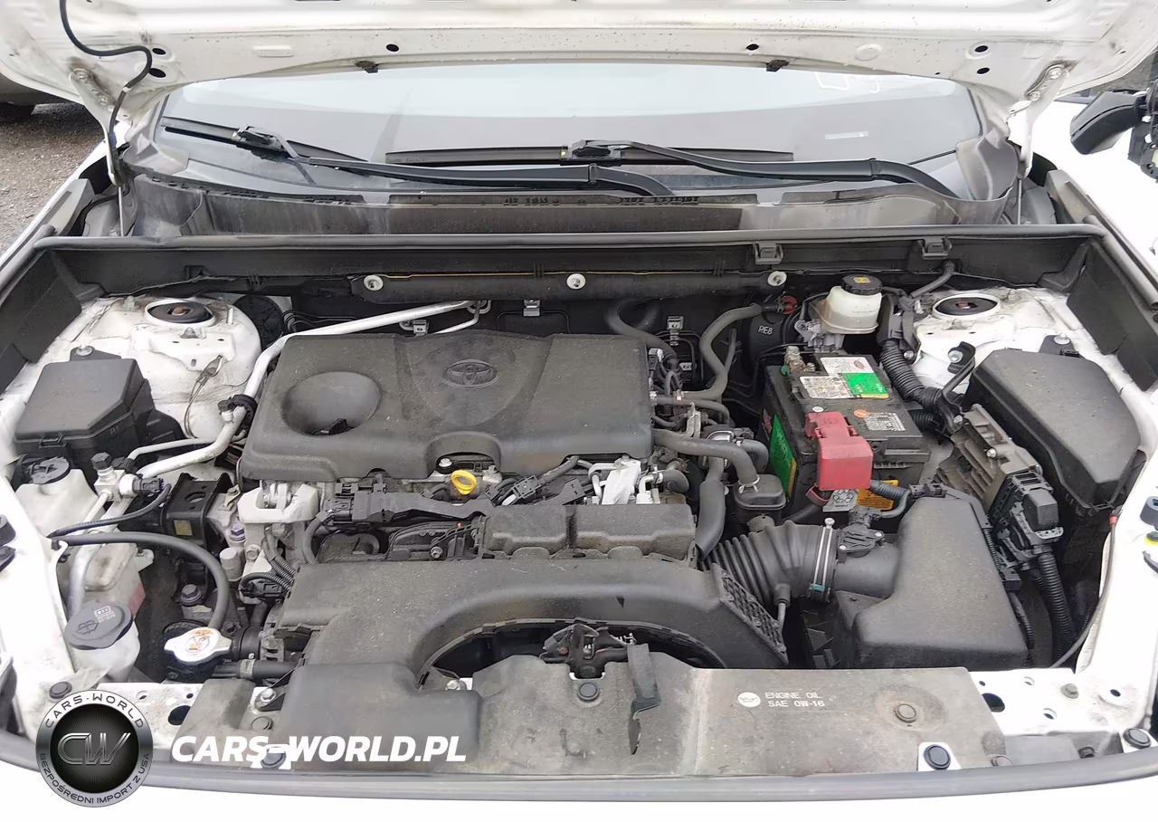 2019 Toyota Rav4 Xle VIN:JTMW1RFV9KD503939 - 10
